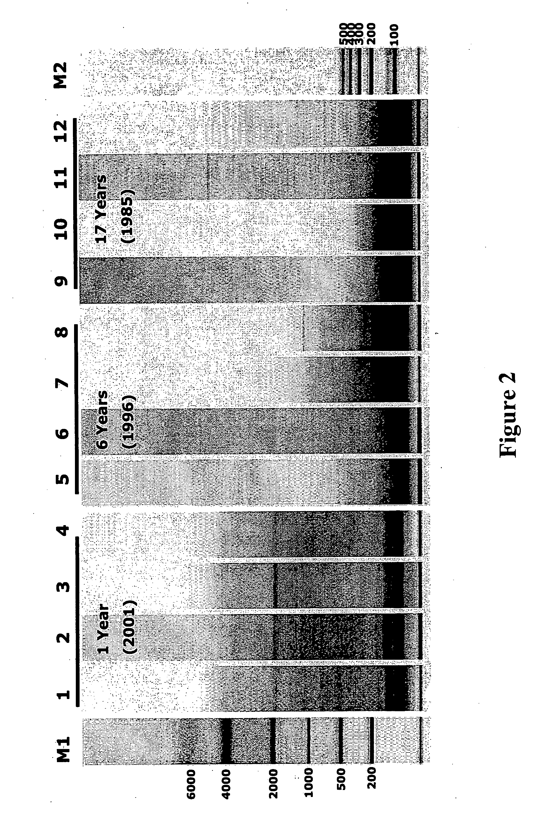 qRT-PCR assay system for gene expression profiling