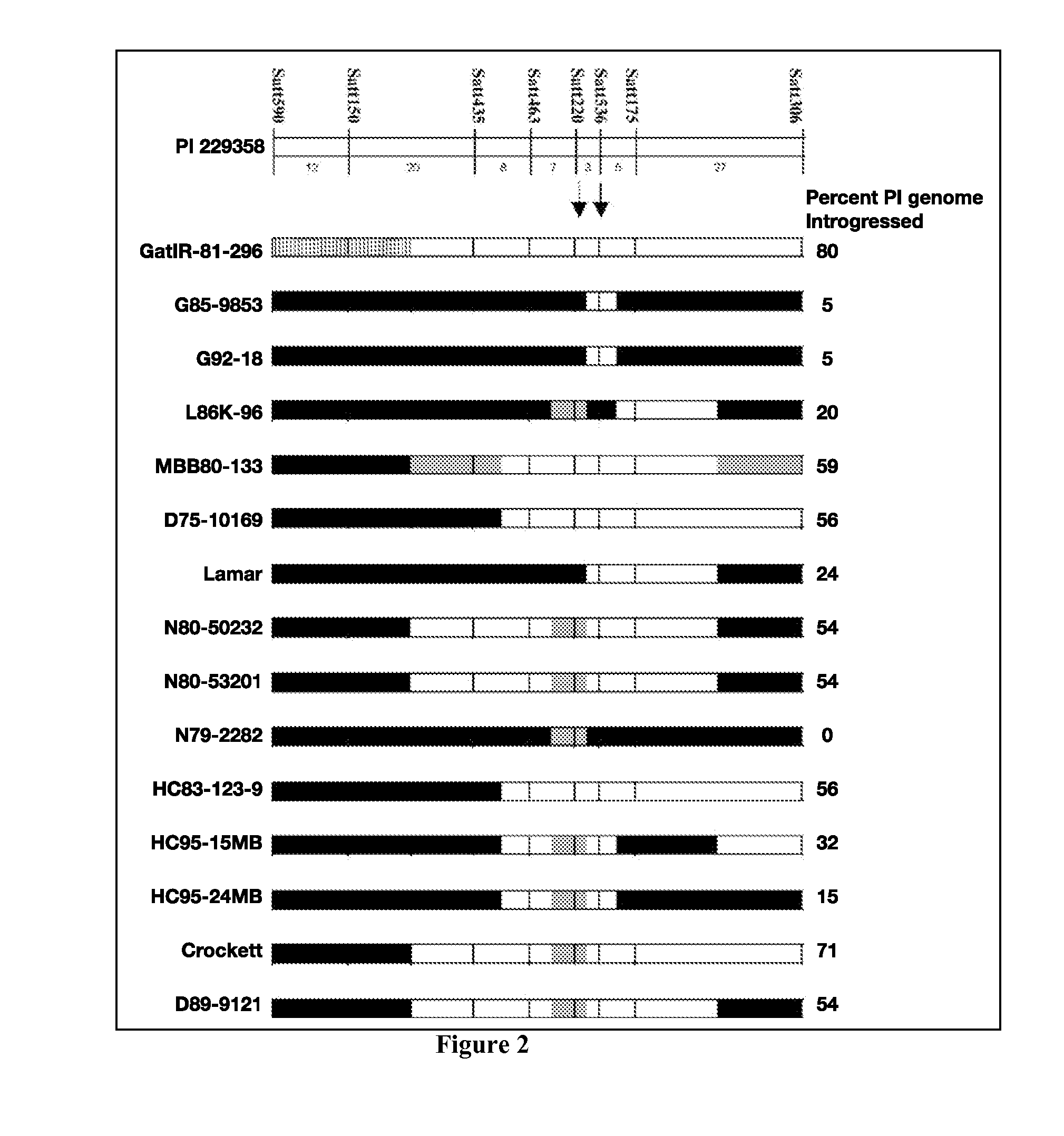 Compositions and Methods for Increasing Pest Resistance in Plants