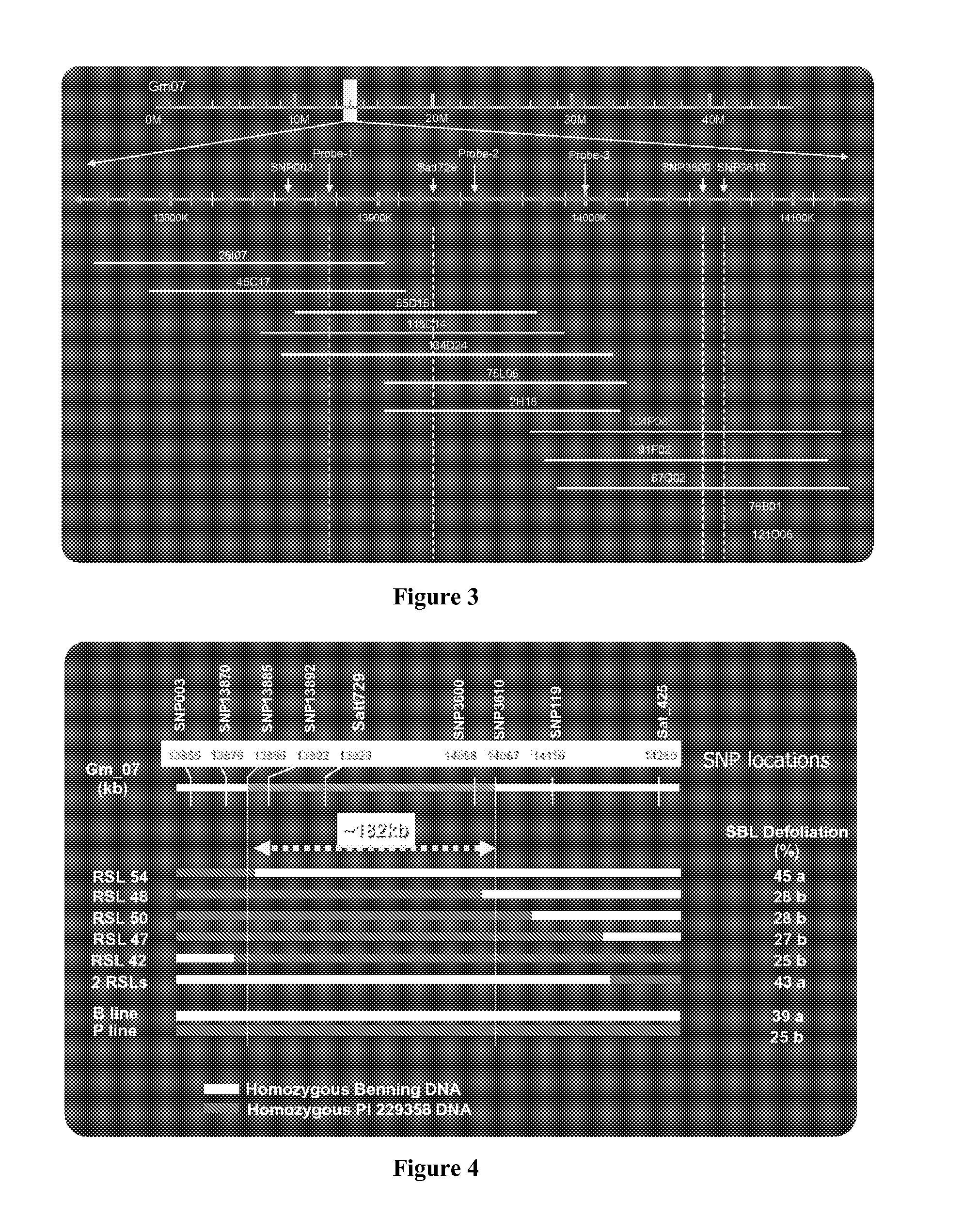 Compositions and Methods for Increasing Pest Resistance in Plants