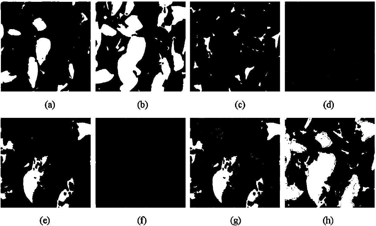 A high-efficiency sunflower seed shelling method based on vision technology