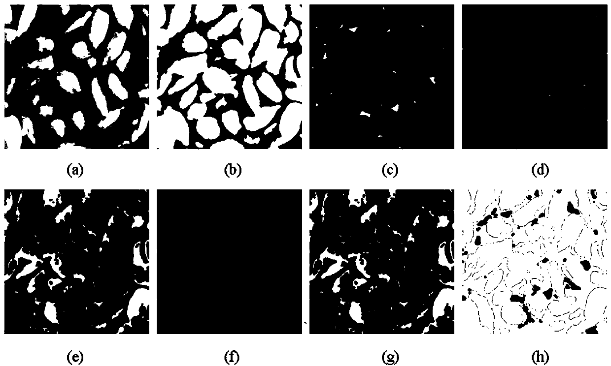 A high-efficiency sunflower seed shelling method based on vision technology