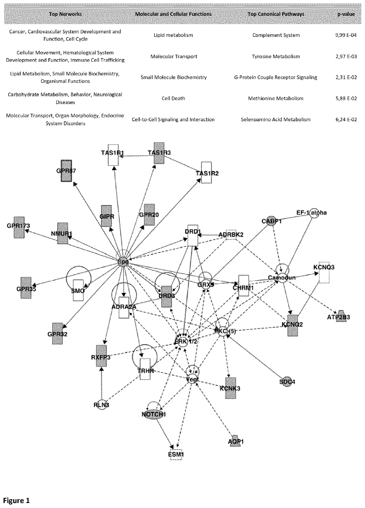 Use of the tas1r3 protein as a marker for therapeutic, diagnostic, and/or prognostic purposes for tumors that express said protein