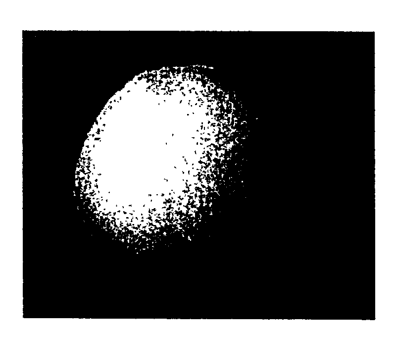 Swelled polymer particles filter process for preparing artificial eye holder