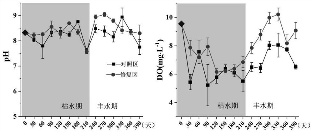 Plateau lake polluted water ecological restoration and aquatic ecosystem restoration method