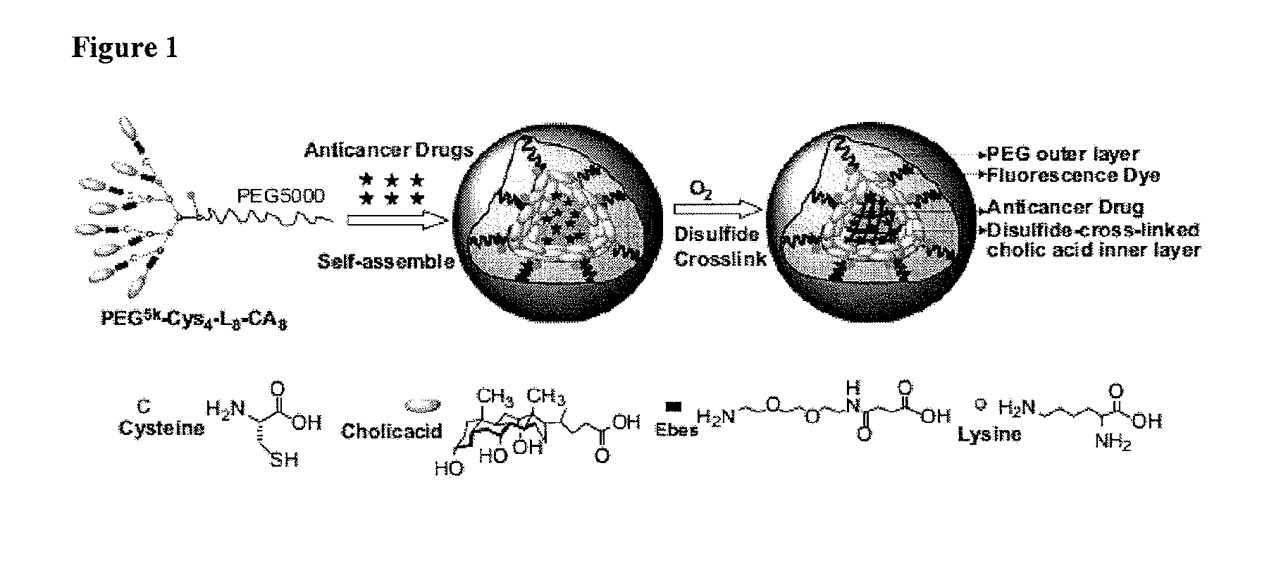 Reversibly crosslinked micelle systems