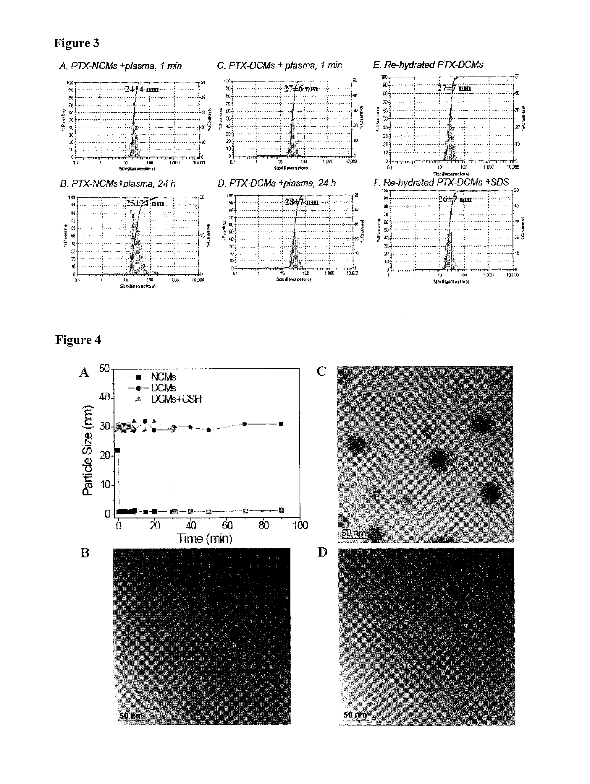 Reversibly crosslinked micelle systems