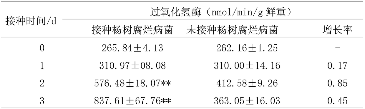 Method for detecting rot disease infection of poplar