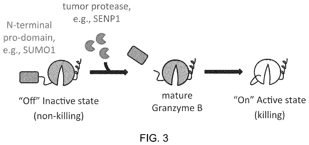 Cytotoxic molecules responsive to intracellular ligands for selective t cell mediated killing