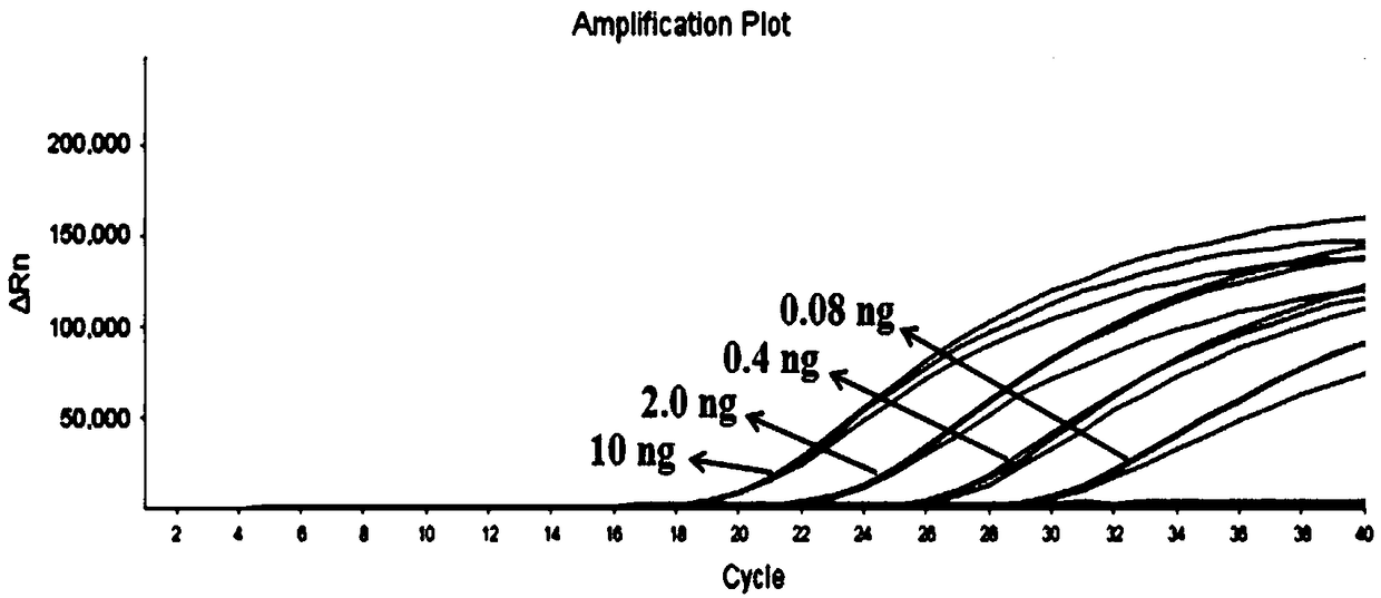 Fluorescent PCR detection kit for discriminating three kinds of medicinal dendrobium in Chinese Pharmacopoeia, and application thereof