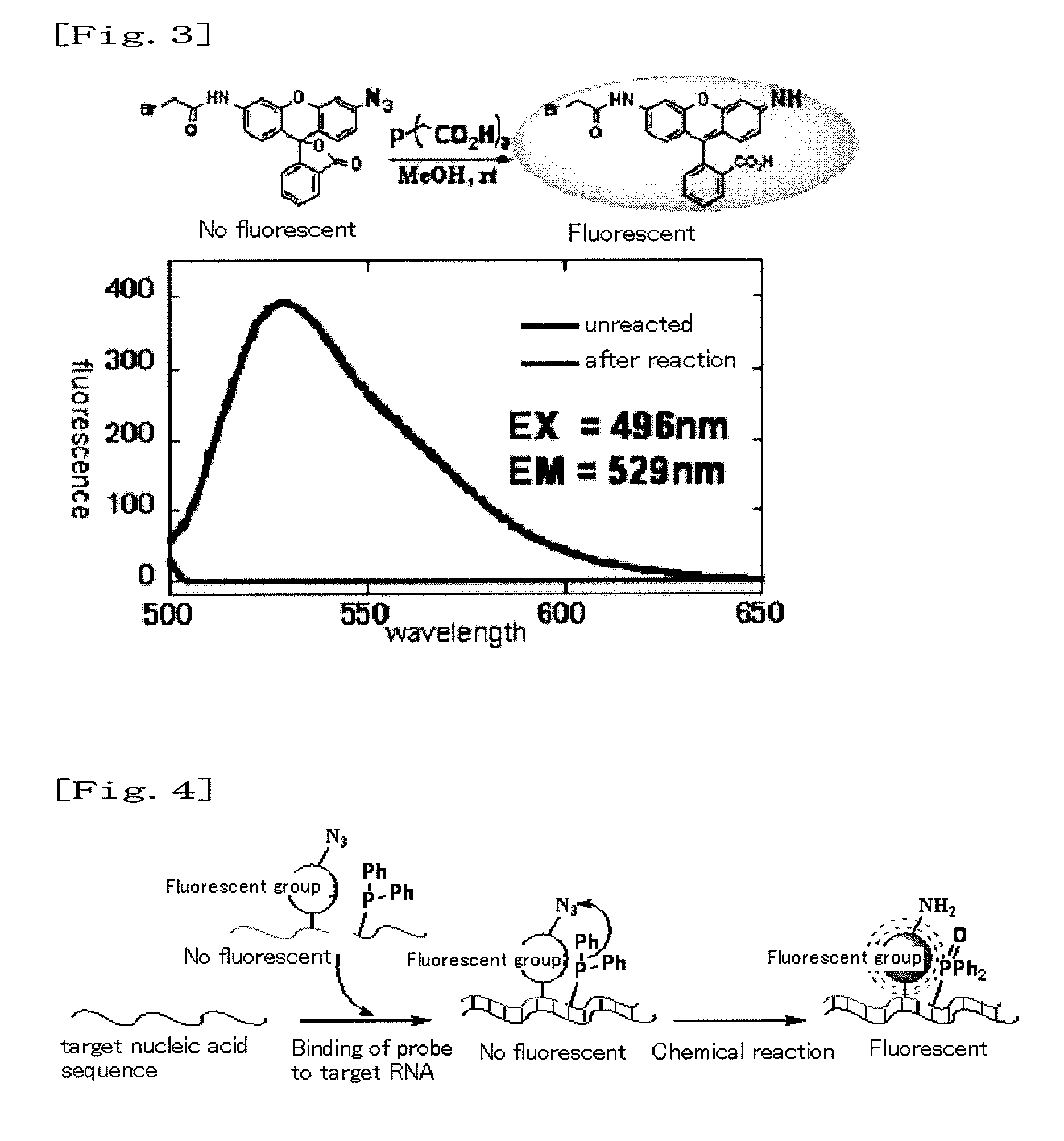 Fluorescence-producing molecule