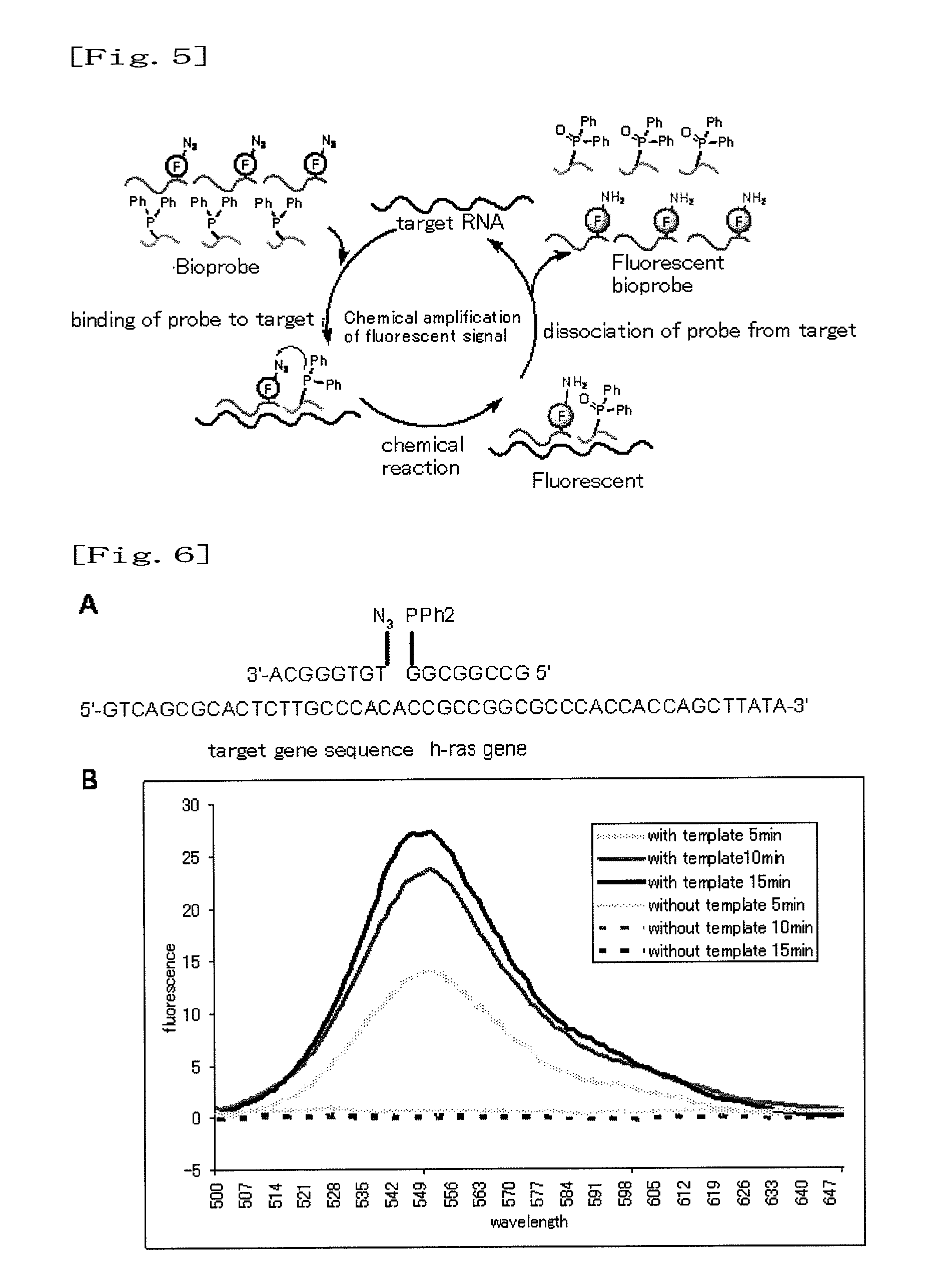 Fluorescence-producing molecule