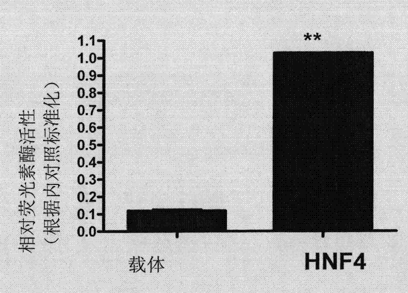 Application of minimal heterodimer partner in blood lipid regulation