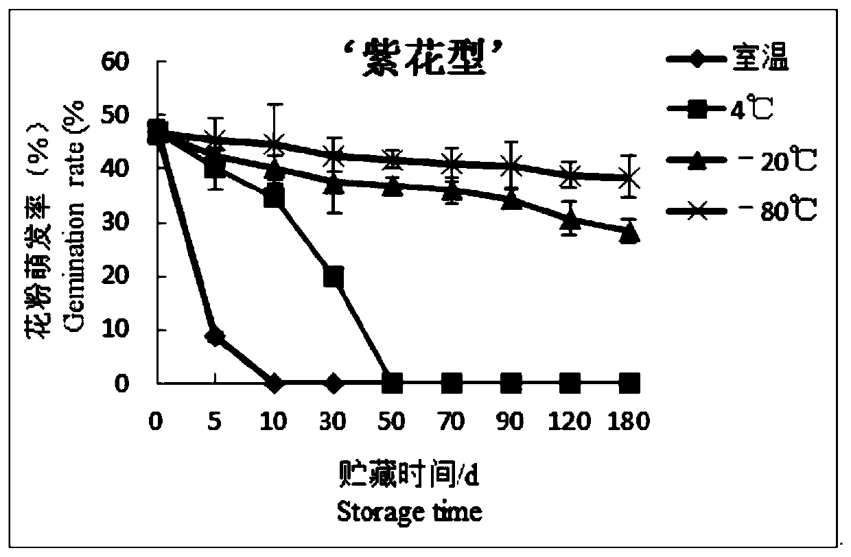 Method for efficiently collecting and storing nymphaea hybrid anther and pollen