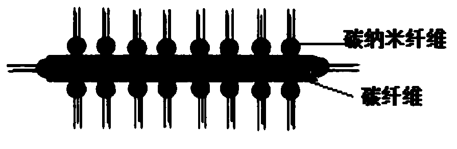 A kind of microextraction/microelectrode dual function probe and its preparation method and application