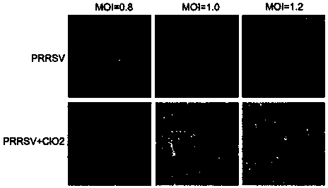 Application of Chlorine Dioxide in Prevention and Treatment of PRRS