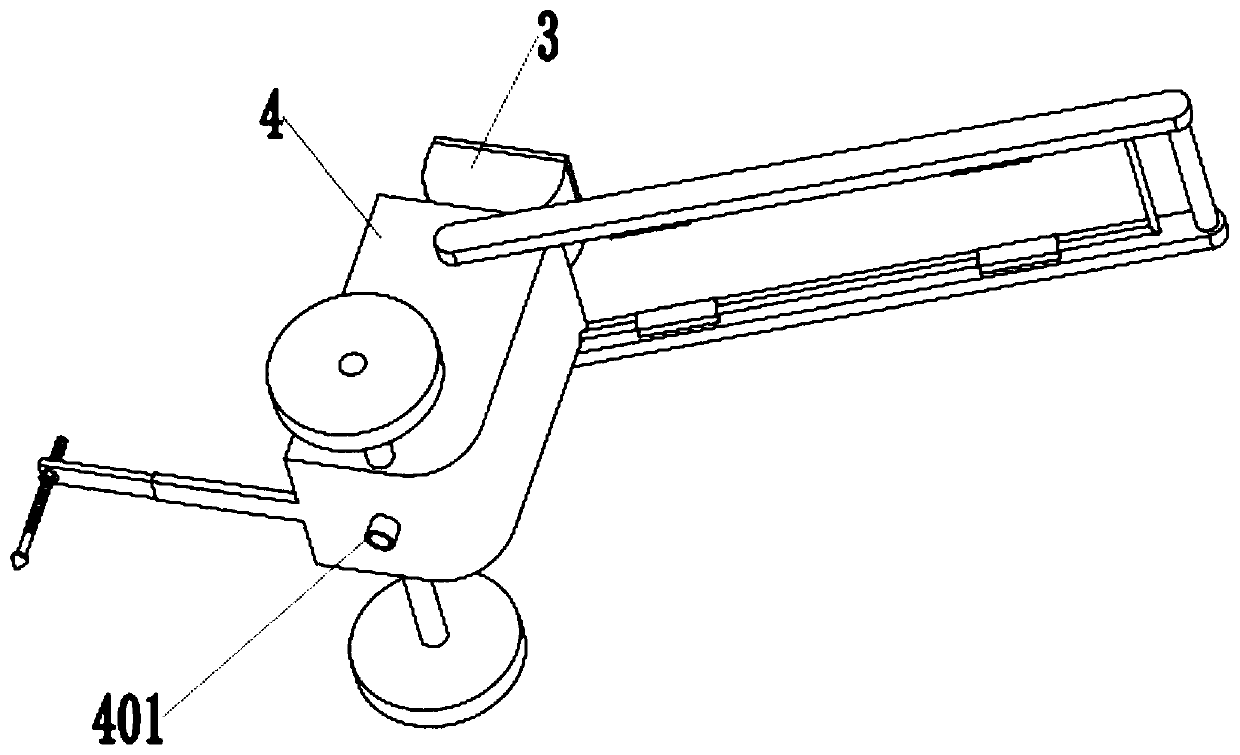 Mung bean seeding device