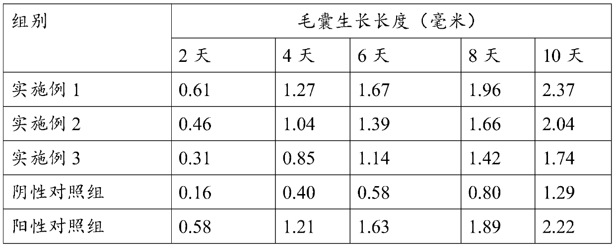 Cortex eucommiae/herba epimedii plant extract solution for promoting hair growth and application of cortex eucommiae/herba epimedii plant extract solution for promoting hair growth