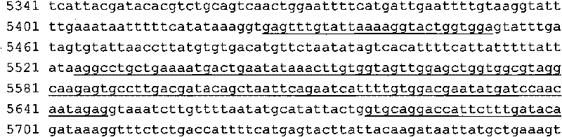 Detection method of human proto-oncogene KRAS and kit