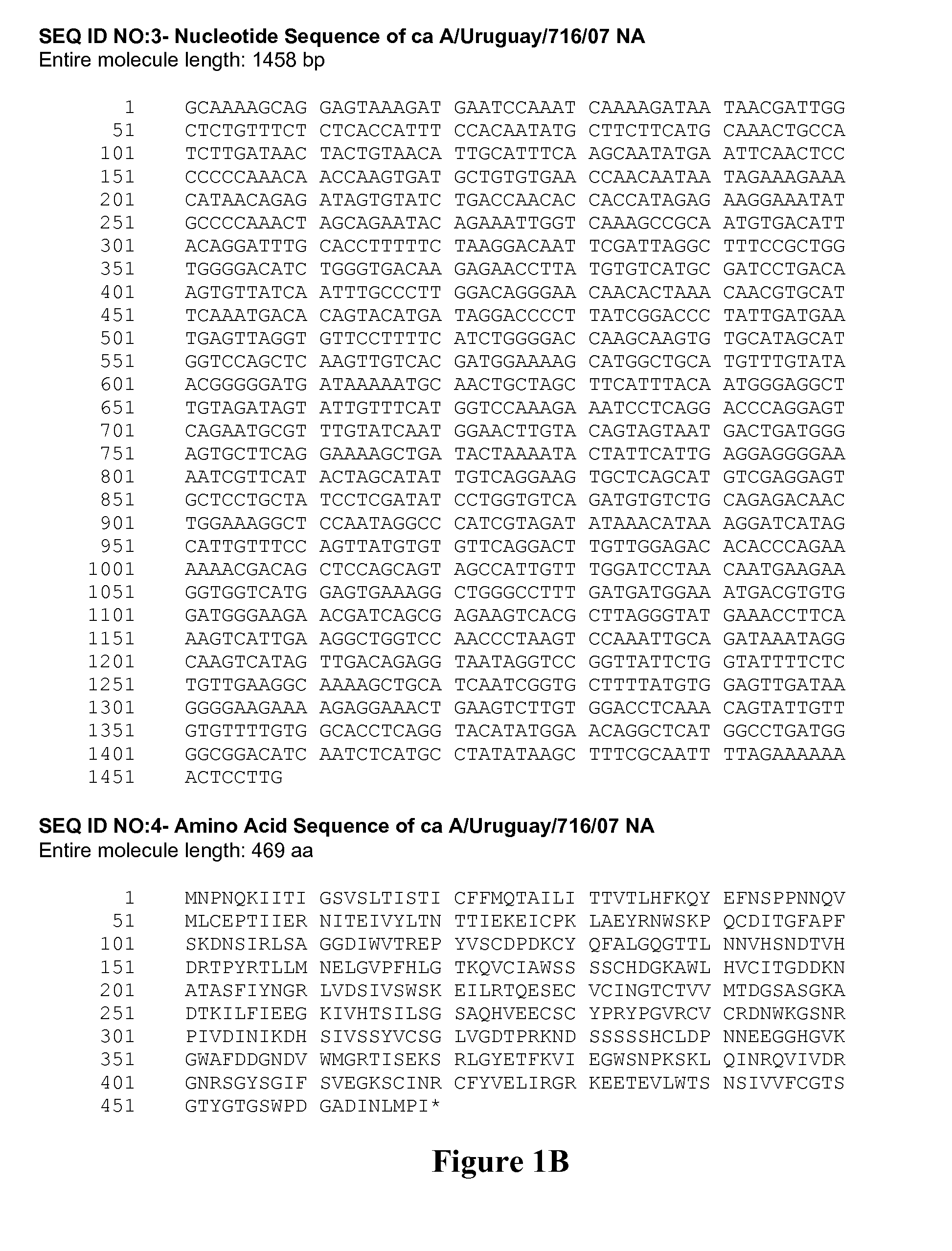 Influenza hemagglutinin and neuraminidase variants