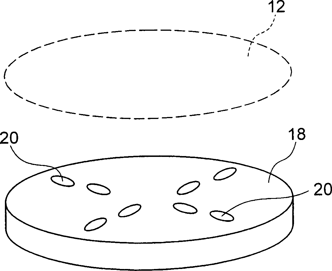 Chip support for protecting chip from breakdown by static electricity