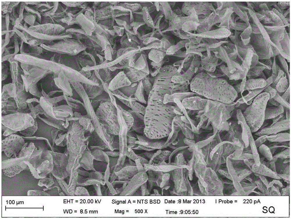 Regenerated cellulose fiber and preparation method thereof