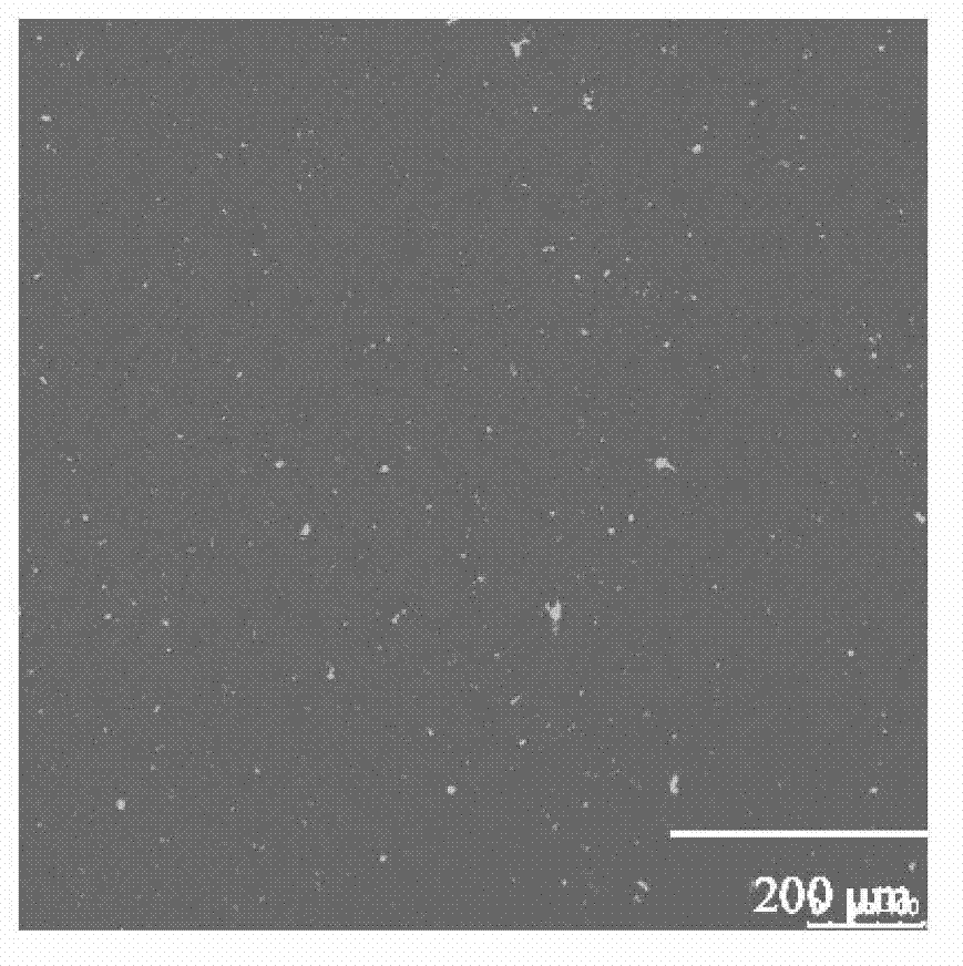 Confocal laser scanning microscope