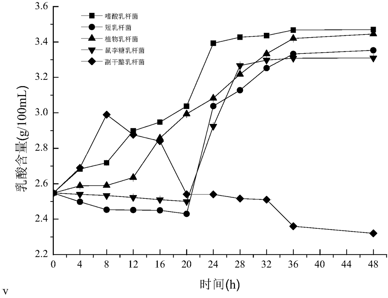 Wintercherry fermentation fruit juice and preparation method thereof