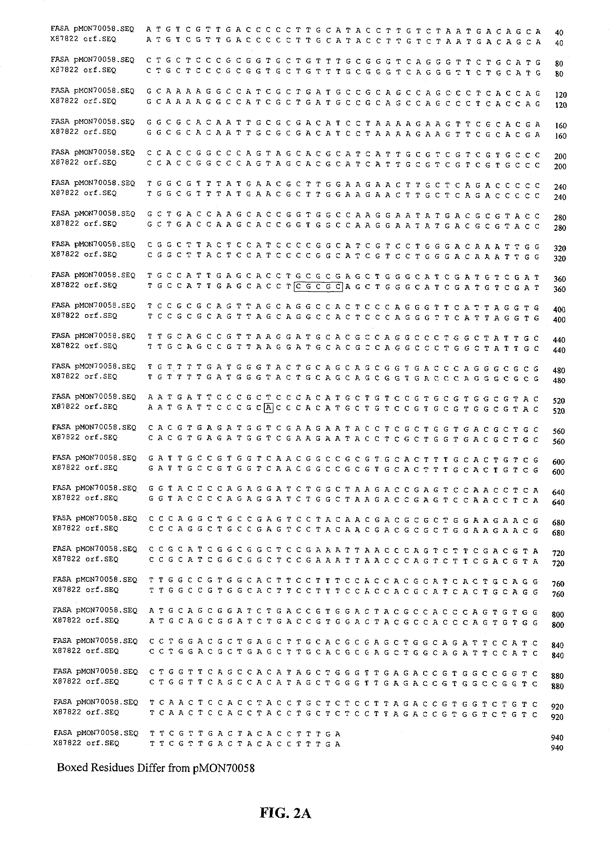 Elevation of fatty acid synthase levels in plants