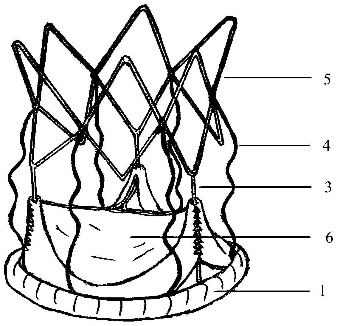 Aortic biovalve with compressible suture edge