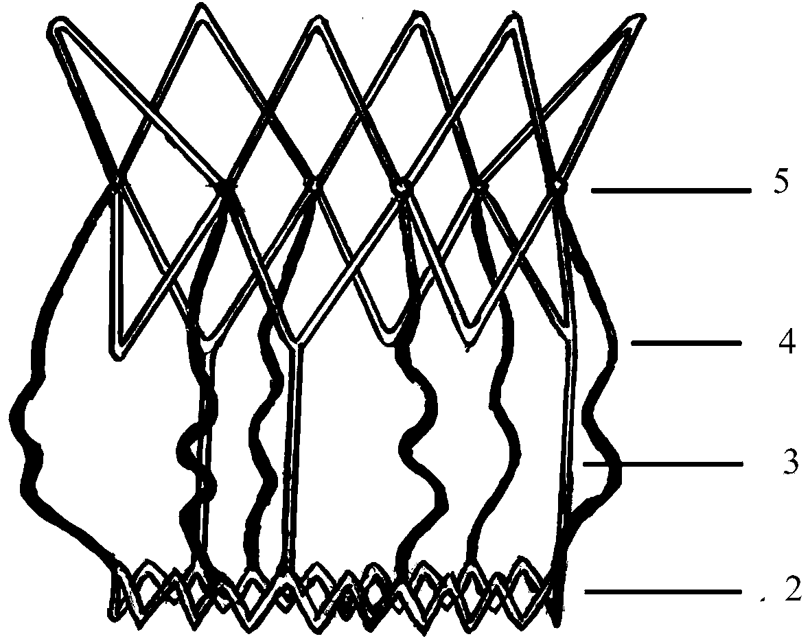 Aortic biovalve with compressible suture edge