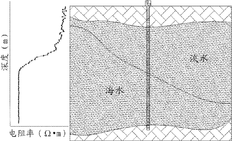 An in-situ automatic monitoring method and system for the range and degree of underground seawater intrusion