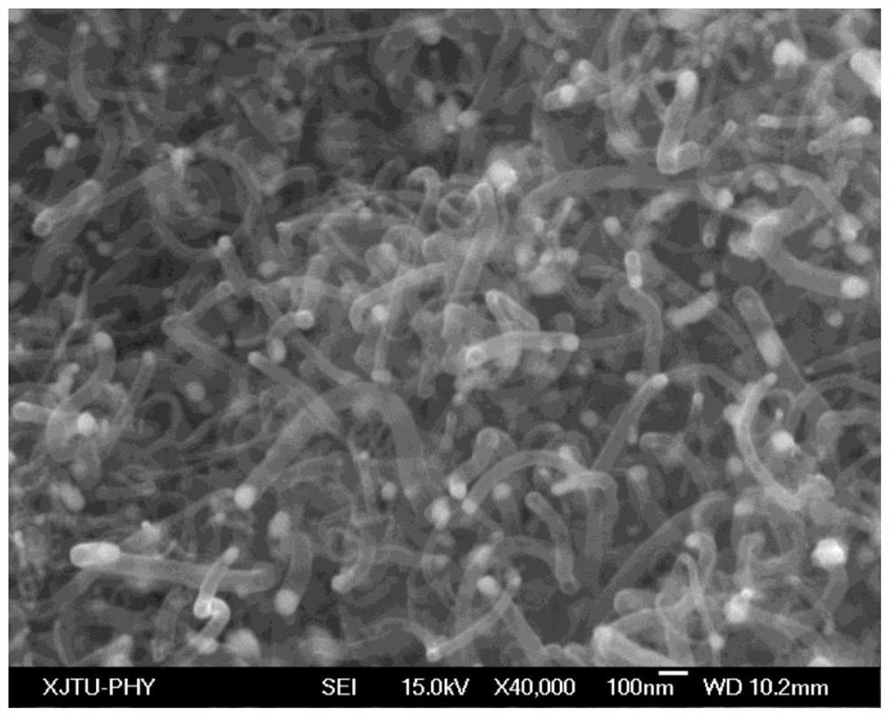 A method for preparing carbon nanotubes from coal