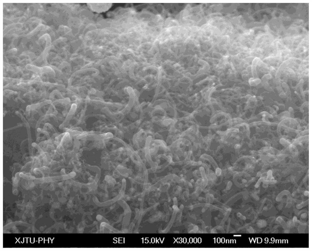 A method for preparing carbon nanotubes from coal