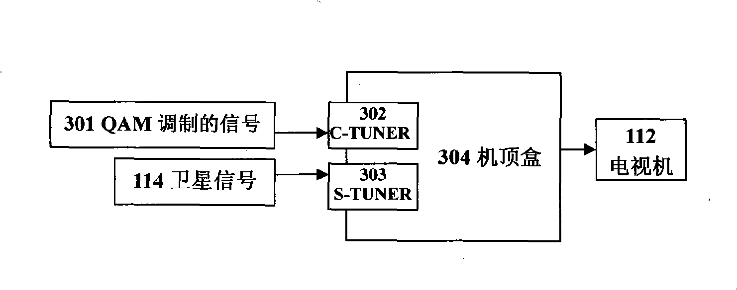 Terrestrial digital television system