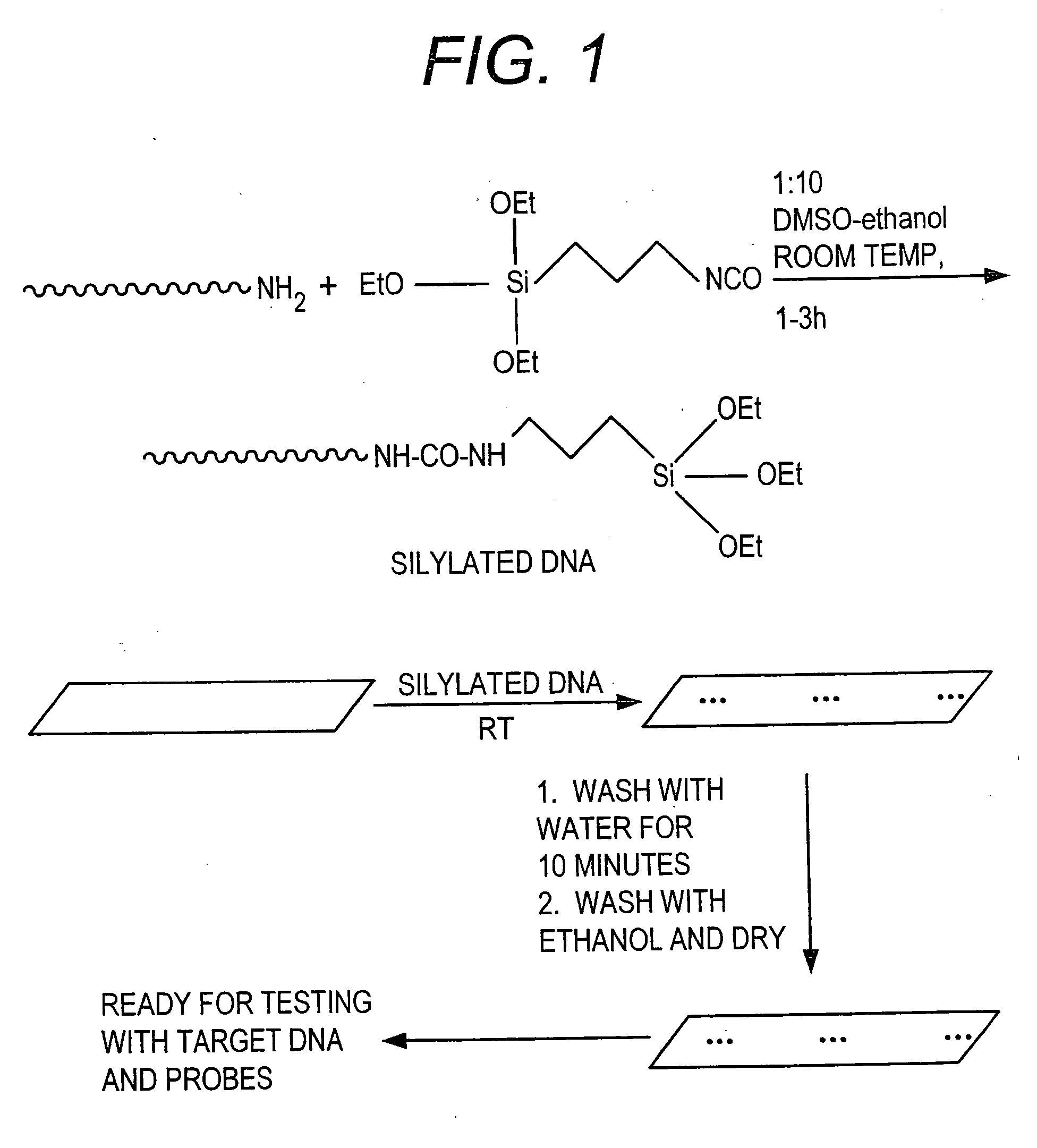 Method for attachment of silylated molecules to glass surfaces