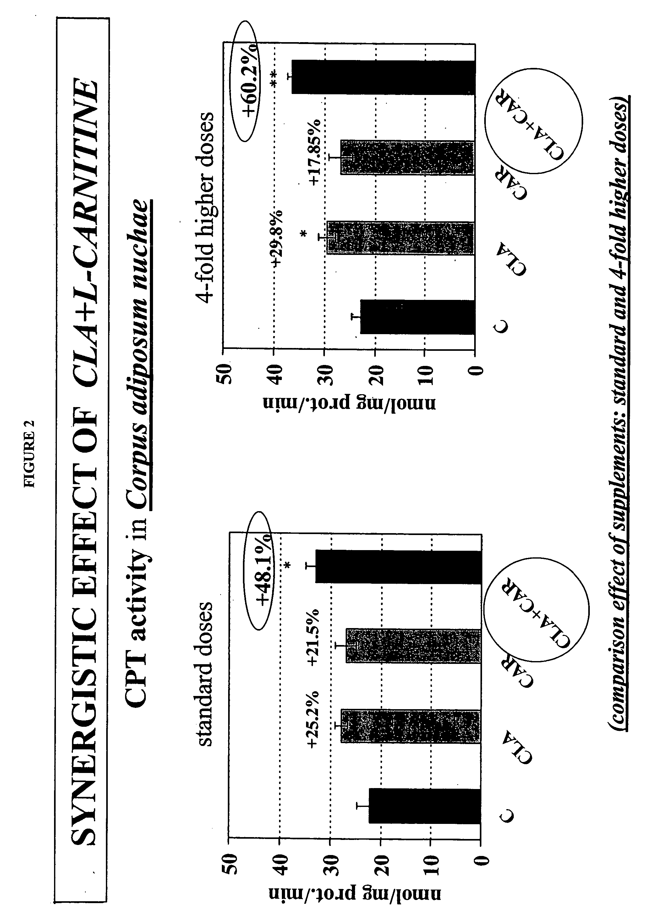 Synergistic conjugated linoleic acid (CLA) and carnitine combination