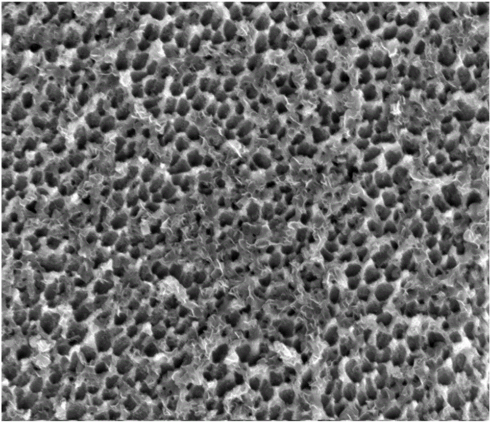 Method for injection molding of stainless steel insert and stainless steel insert