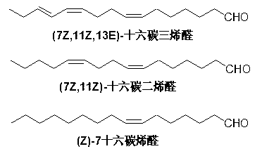 Synthesis method of (7Z,11Z,13E)-hexadecatrienal