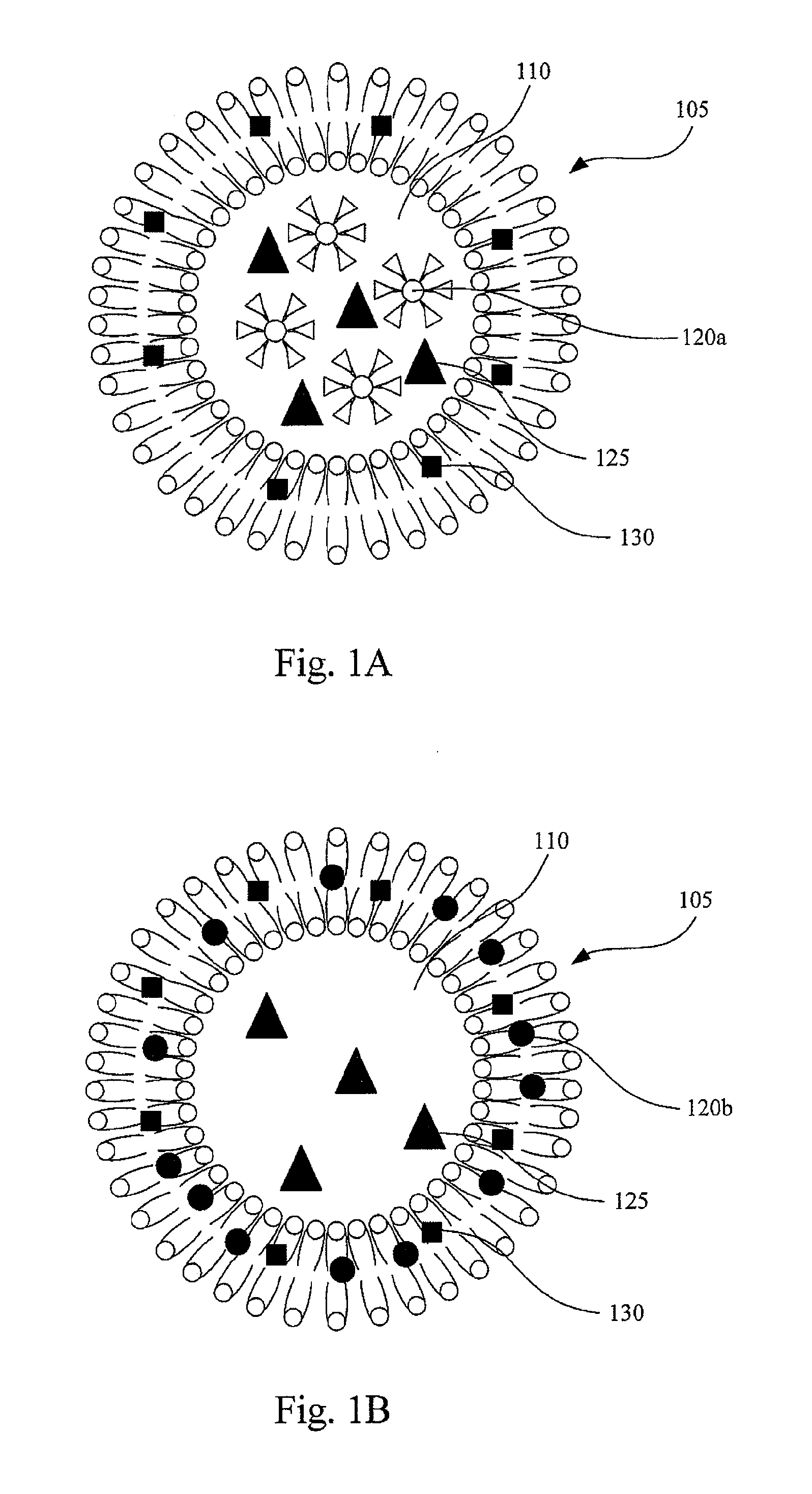 Drug Release from Thermosensitive Liposomes by Applying an Alternative Magnetic Field