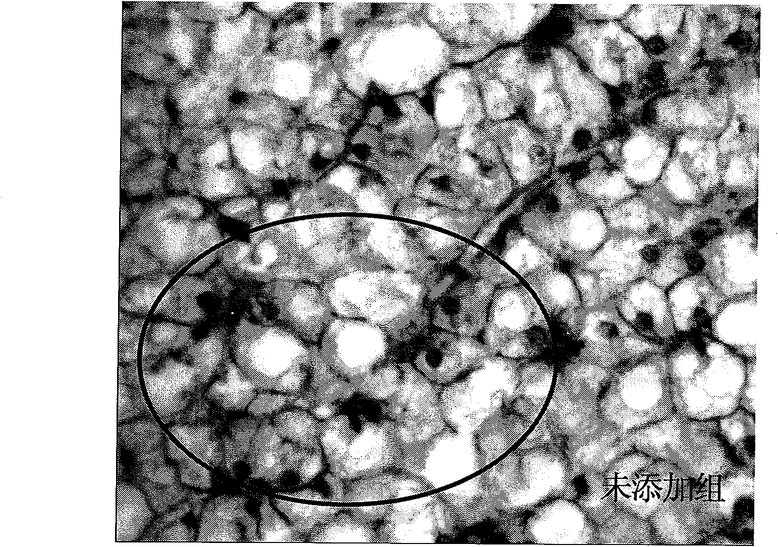 Aquatic product feed additive composition, preparation method and application thereof