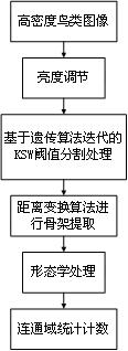 Bird-based high-frame-frequency sequence image abundance statistics and population identification algorithm