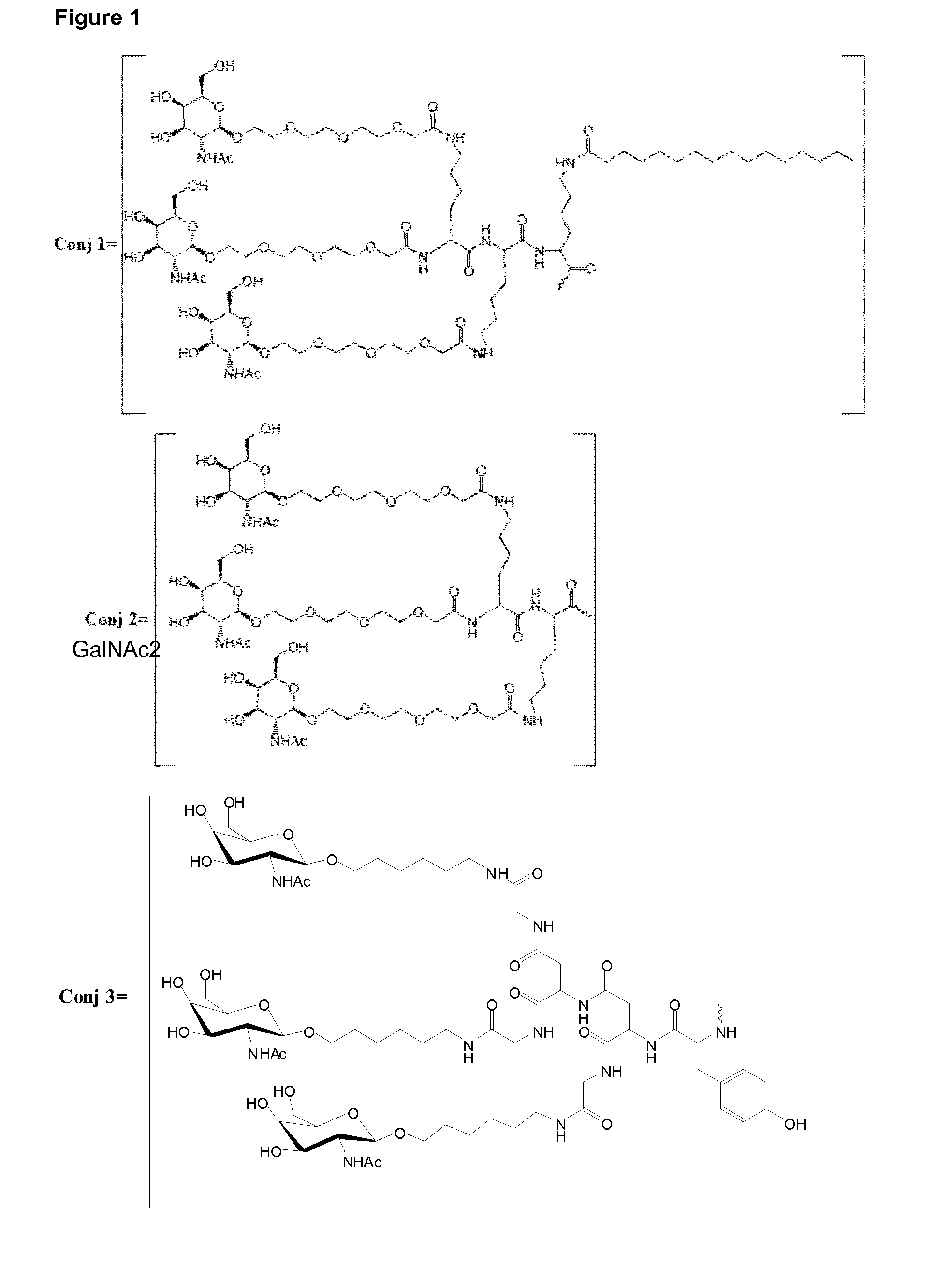 Oligonucleotide conjugates