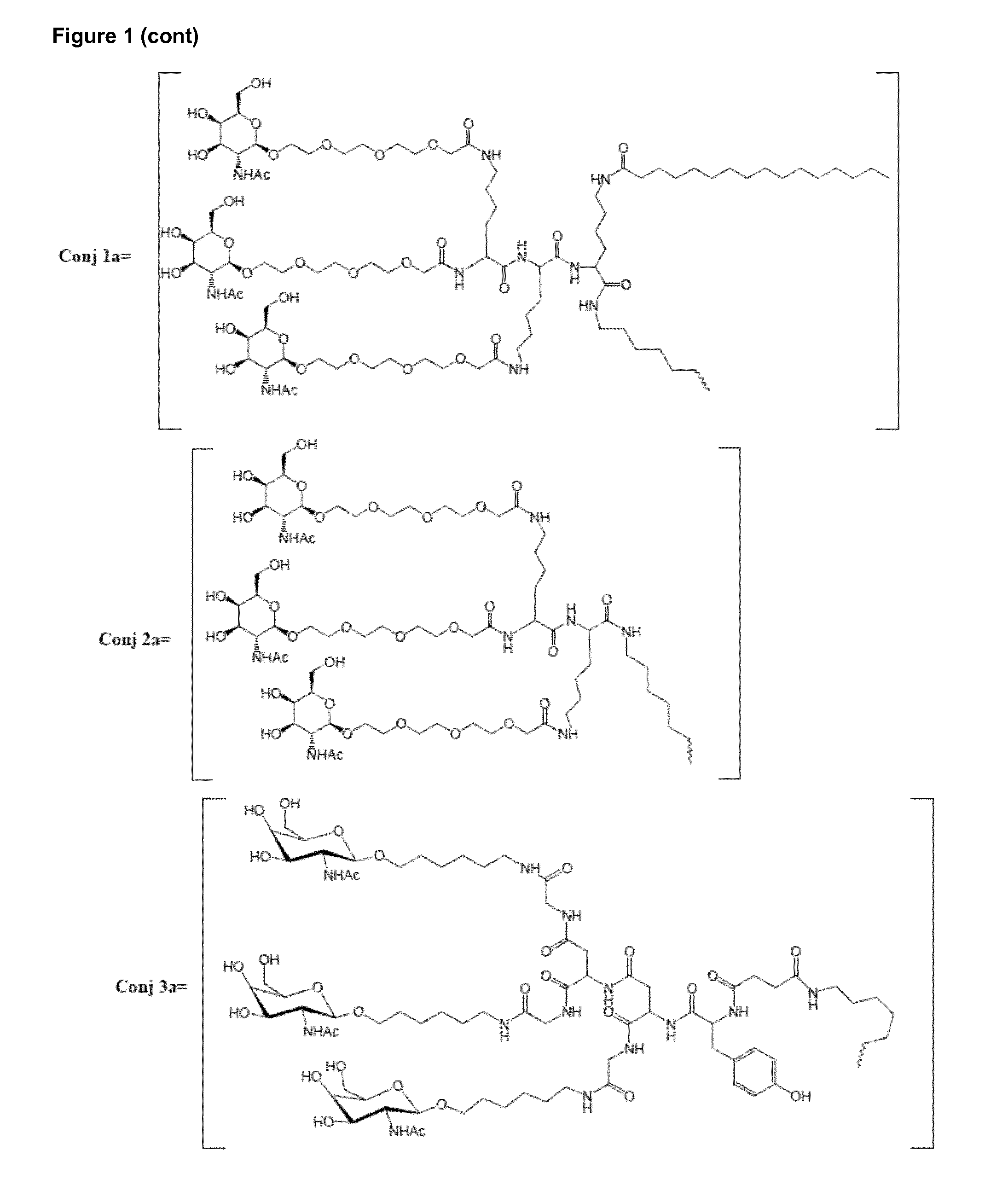 Oligonucleotide conjugates