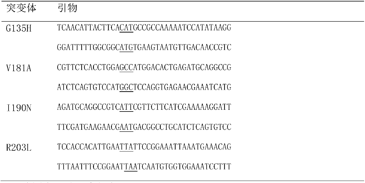 Carbonyl reductase mutant, vector, engineering bacterium and application thereof