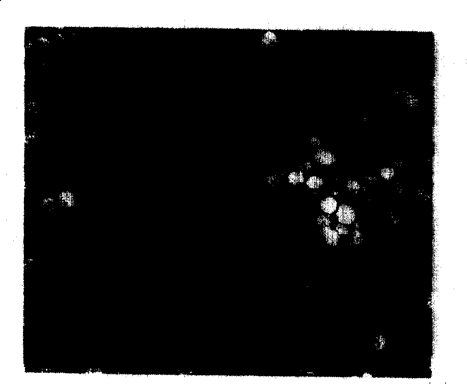 Method for synthesizing series single-dispersed ferrite nanometer magnetic beads