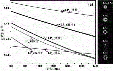 A Tunable Filter Based on Selective Filling-like Dual-Core Photonic Crystal Fiber