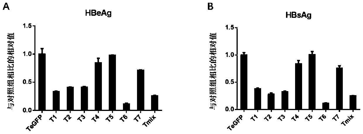 Transformed CRISPR/SaCas9 (clustered regularly interspaced short palindromic repeat/streptococcus pyogenes Cas9) system targeting at hepatitis B virus and application of system