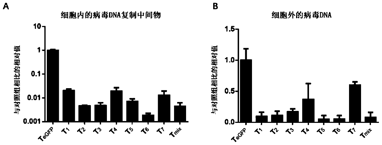 Transformed CRISPR/SaCas9 (clustered regularly interspaced short palindromic repeat/streptococcus pyogenes Cas9) system targeting at hepatitis B virus and application of system