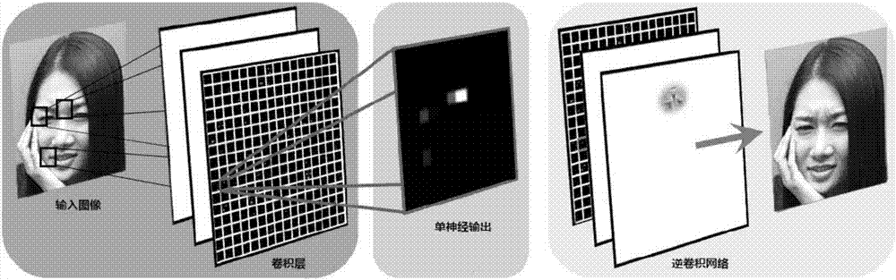 Method of micro facial expression detection based on facial action coding system (FACS)