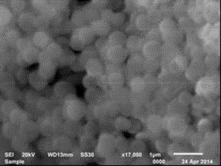 Porous carbon electrode material based on chitosan and derivative of chitosan thereof as well as preparation method and application of porous carbon electrode material